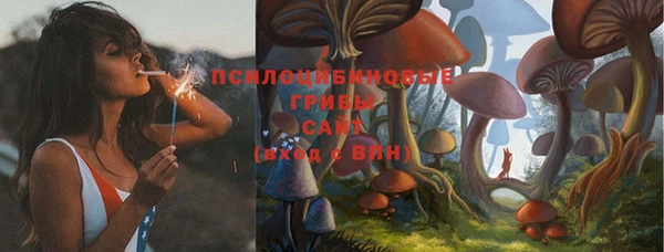 гашишное масло Михайлов