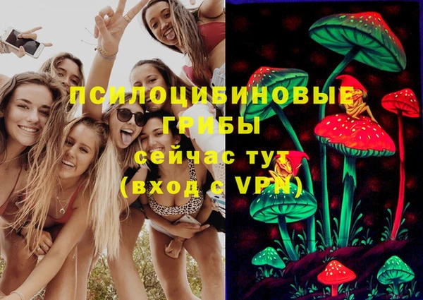 дживик Алексеевка