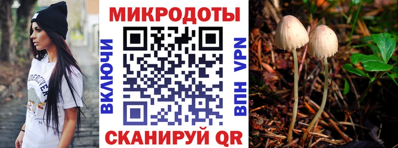 магазин продажи   Абаза  Галлюциногенные грибы Psilocybine cubensis 